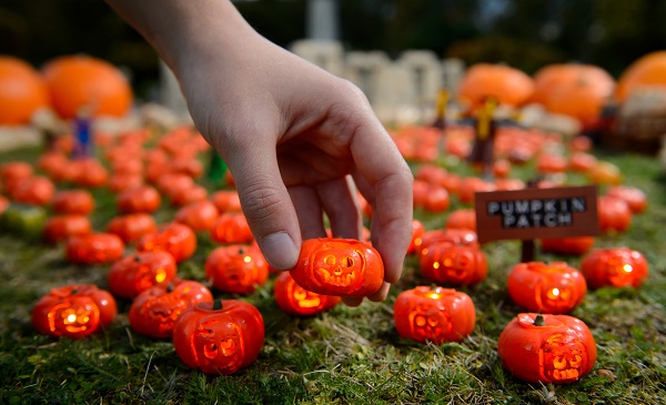 World's smallest pumpkin patch featuring miniature carvings pops up in Miniland at the LEGOLAND Windsor Resort.