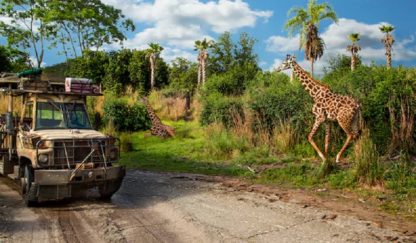 Kilimanjaro Safaris (Animal Kingdom – Africa)